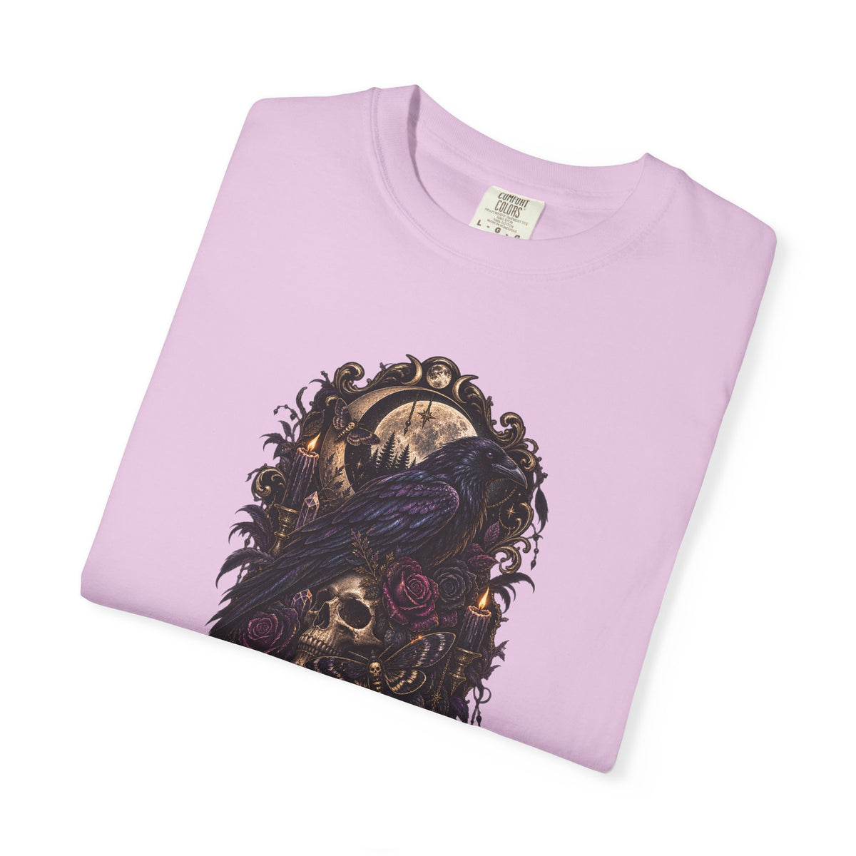Skull & Crow Graphic Tee — Gothic Vintage Skull with Raven Design